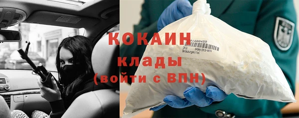 молекула духа Дмитриев