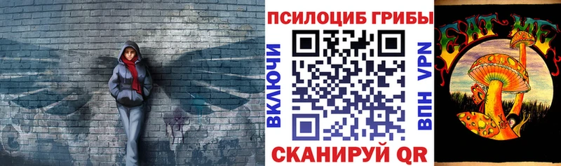 как найти закладки  Дно  Псилоцибиновые грибы мухоморы 